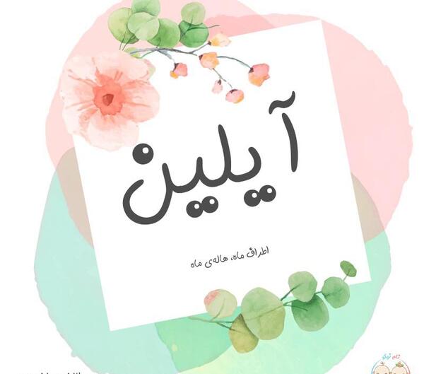 عکس گل آیلین