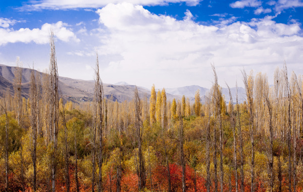 عکس پاییز طالقان