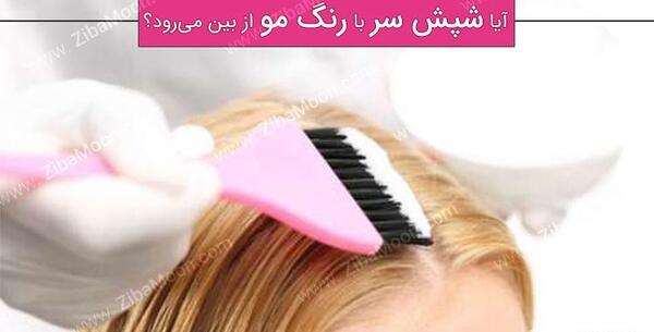 عکس شپش کوچولو