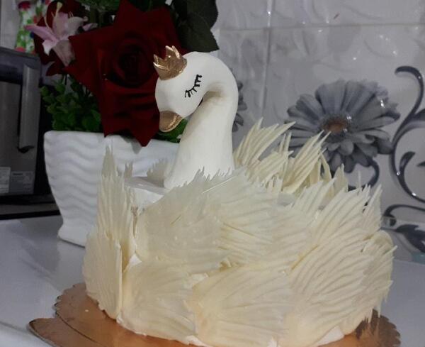 عکس کیک قو