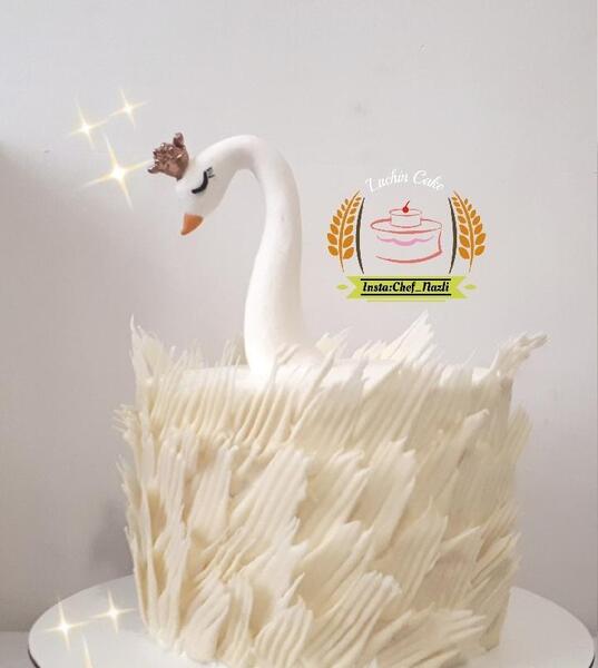 عکس کیک قو