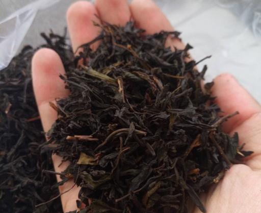 عکس چای بهاره