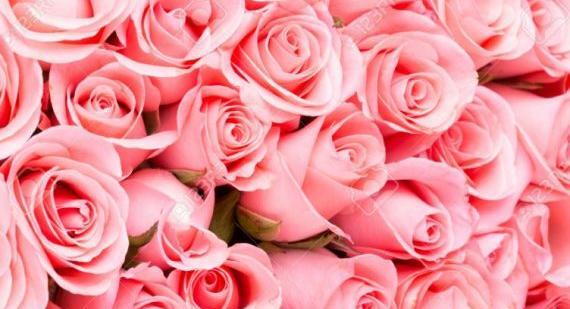 عکس گلهای دیدنی