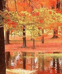 عکس پروفایل پاییزی متحرک