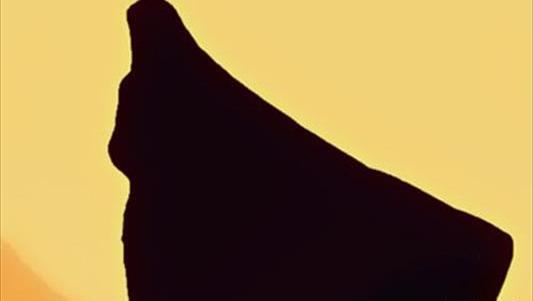 عکس دختر چادری در غروب آفتاب