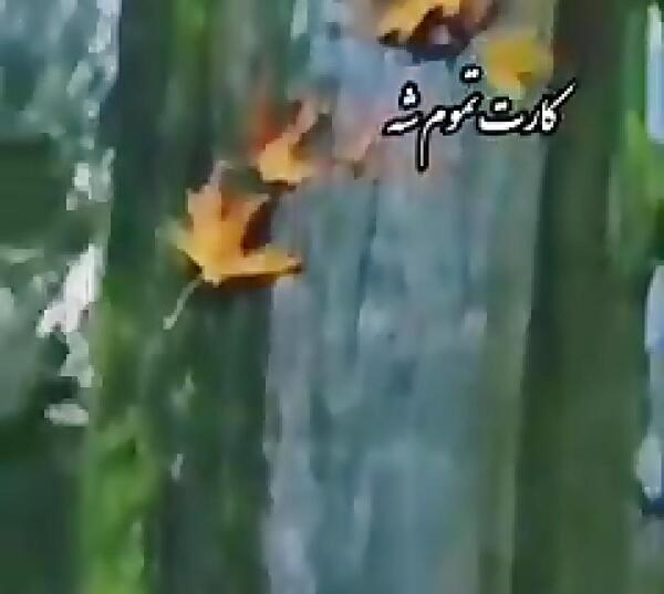 عکس تصاویر طبیعت زیبا با آهنگ