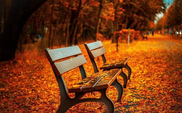 عکس پاییز برای دسکتاپ