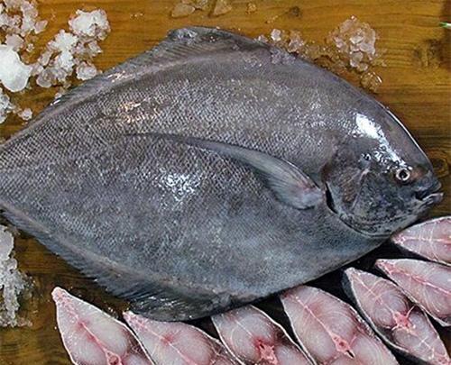 عکس حلوا ماهی