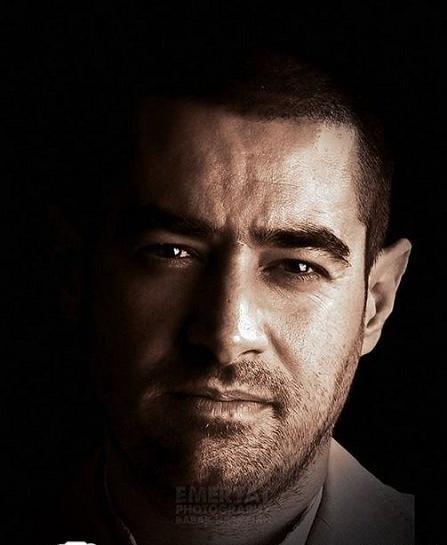 عکس زیبای شهاب حسینی