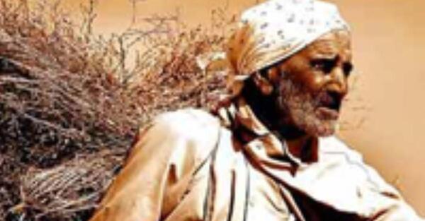 عکس خارکن