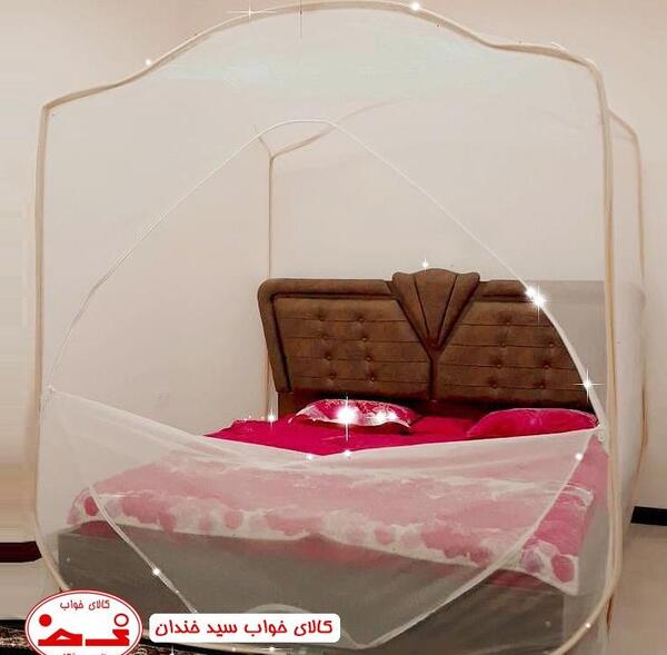 عکس خطرناک ترین پشه