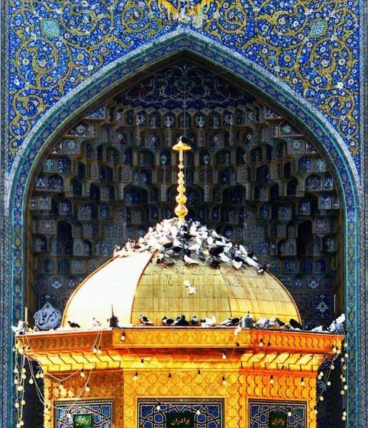عکس خاص حرم امام رضا
