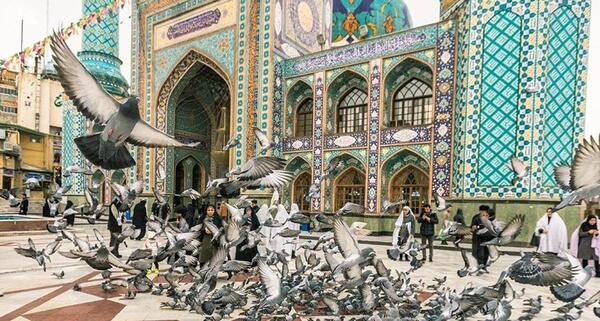 عکس های دیدنی امامزاده صالح