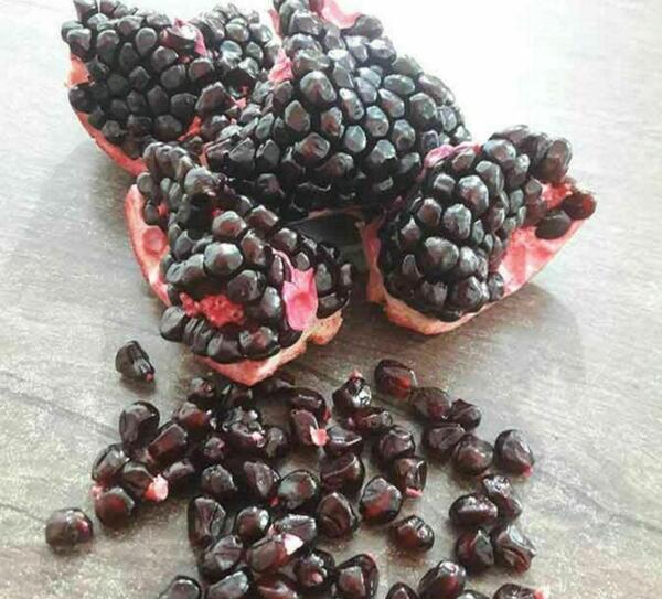 عکس انار دانه سیاه