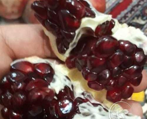 عکس انار دانه سیاه