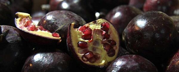 عکس انار دانه سیاه
