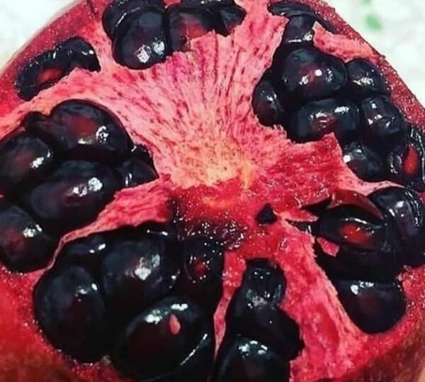 عکس انار دانه سیاه