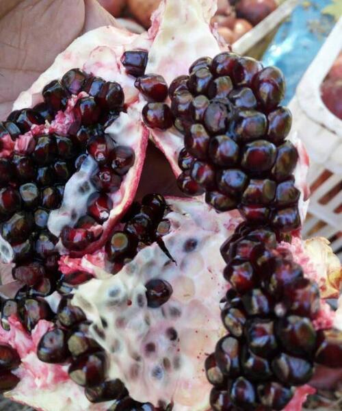 عکس انار دانه سیاه