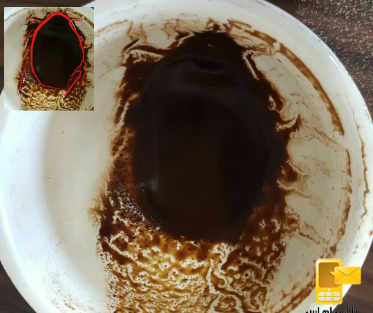 عکس سوسک در فال قهوه