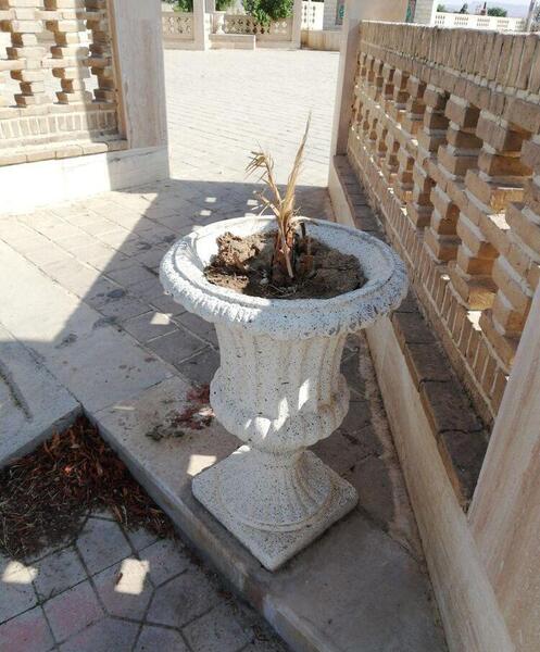 عکس سنگ قبر قیصر امین پور