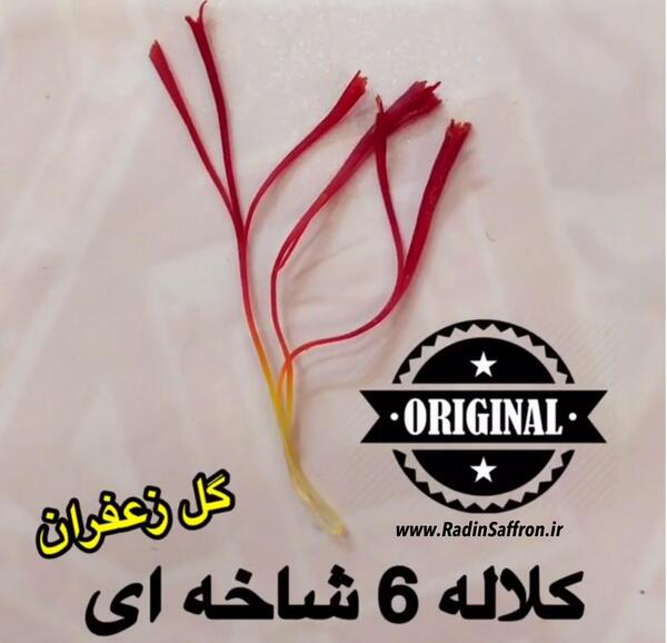 عکس کلاله زعفران