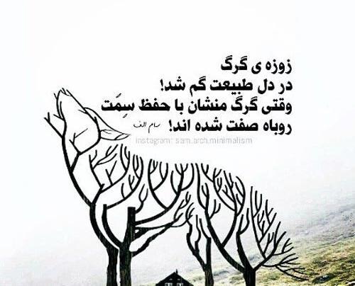 عکس پروفایل آدمای روباه صفت