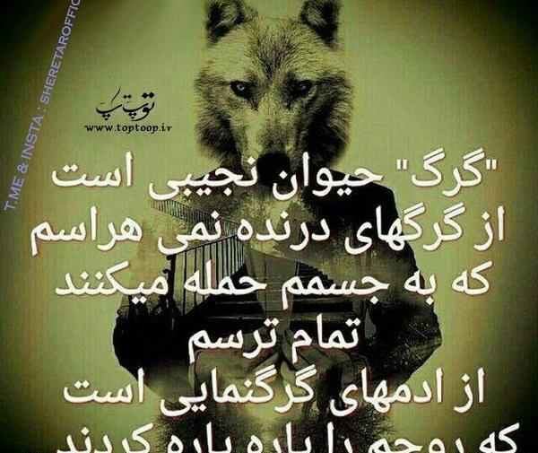 عکس پروفایل آدمای روباه صفت