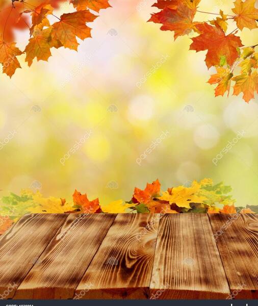 عکس پس زمینه ی پاییز