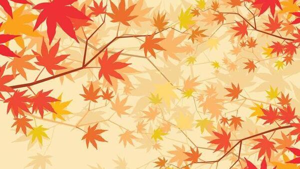 عکس پس زمینه ی پاییز