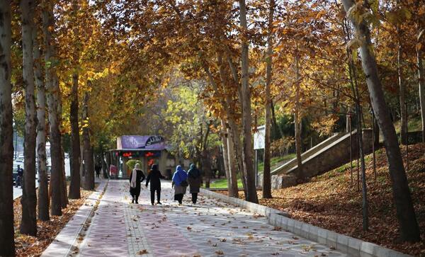 عکس پاییز شهری