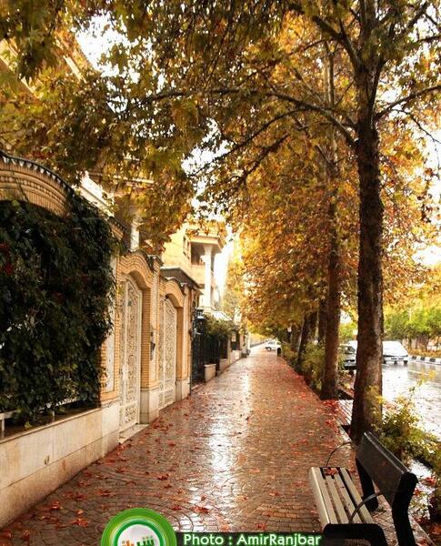 عکس پاییز شیراز