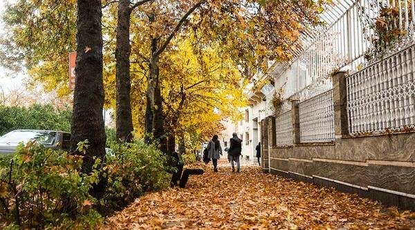 عکس پاییز شیراز