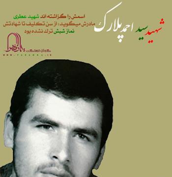 عکس سنگ قبر شهید پلارک