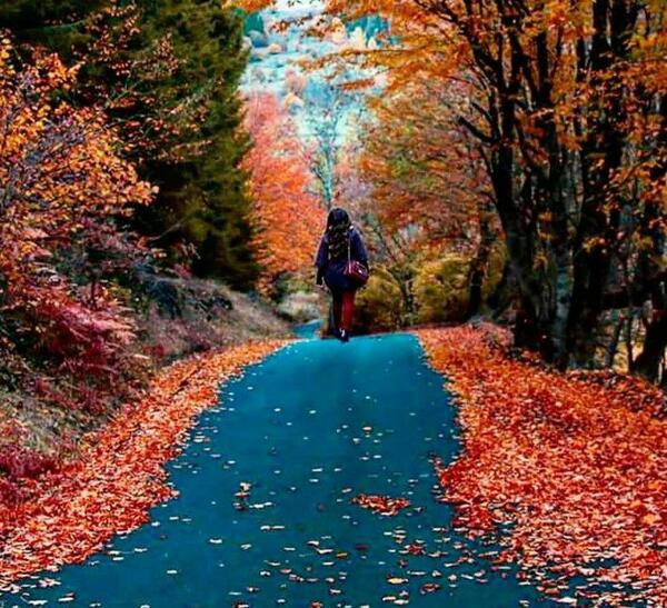 عکس پاییز تنهایی