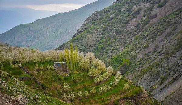 عکس شهر طارم زنجان
