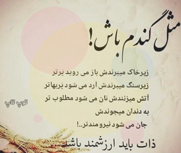 عکس نوشته درباره ذات آدمها