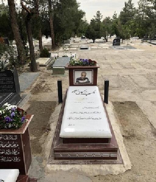 عکس سنگ قبر بهمن مفید