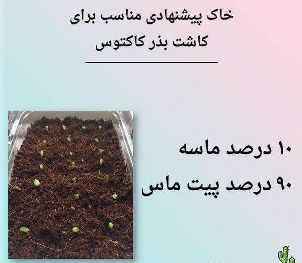 عکس خاک مناسب کاکتوس
