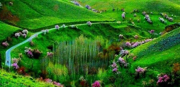 عکس جاهای دیدنی لرستان