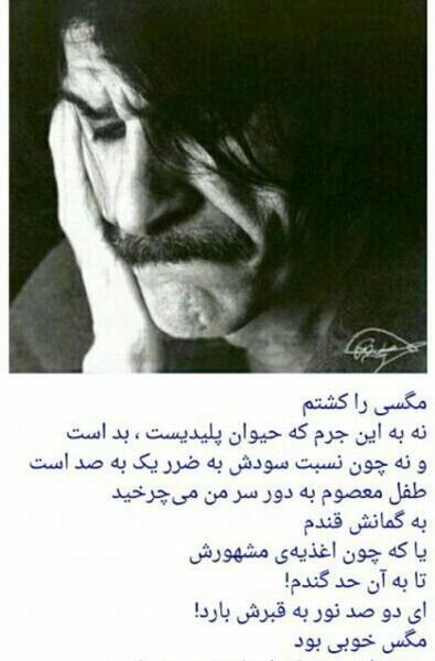 عکس نوشته ی جملات حسین پناهی