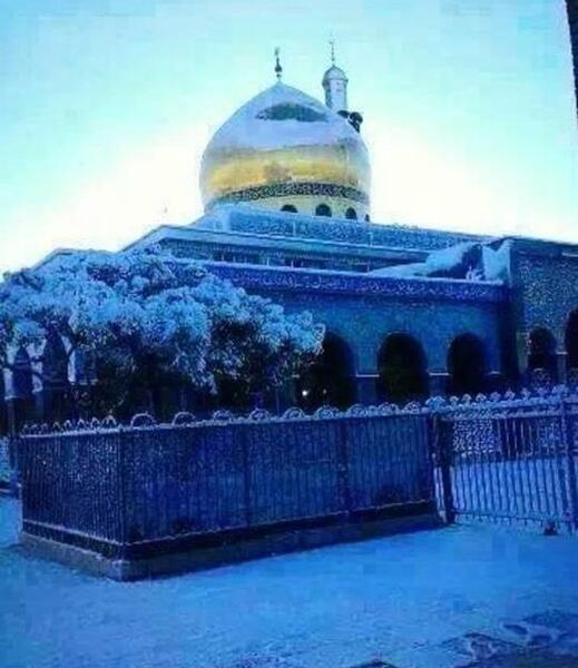 عکس حرم خانم زینب