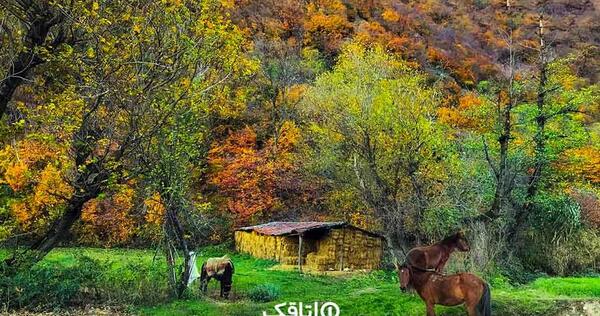 عکس جاهای دیدنی علی آباد کتول