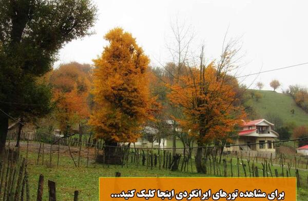 عکس پاییز فومن