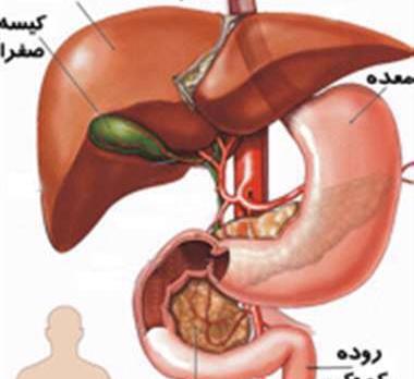 عکس سنگ صفرا در بدن