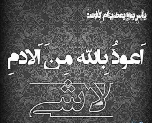عکس درباره لاشیا