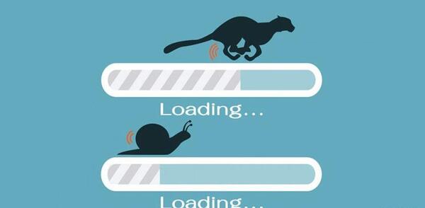 عکس در حال لود