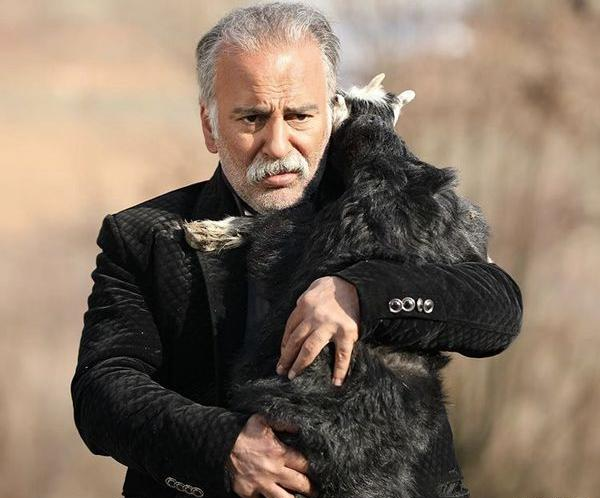 عکس هایی از حمیدرضا آذرنگ