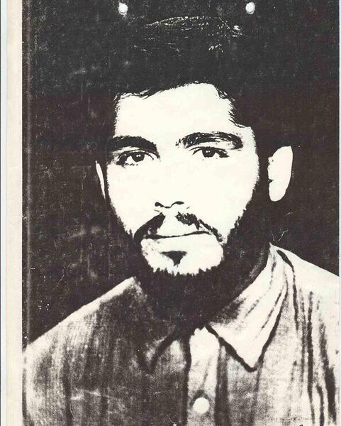 عکس شهید نادر مهدوی