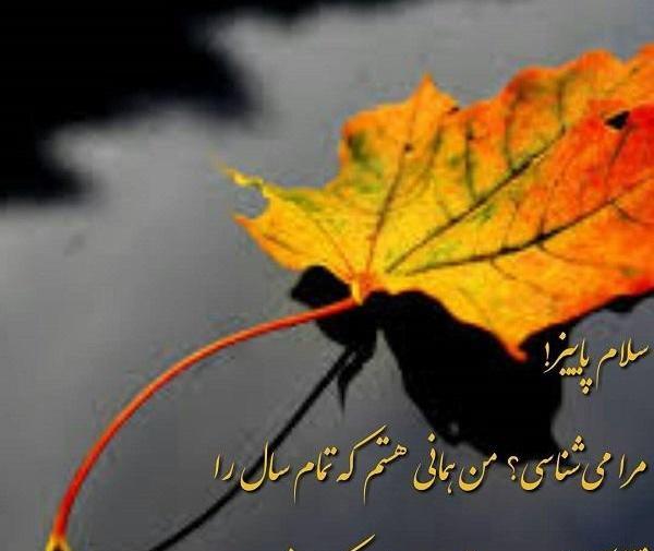 عکس پاییز همراه با متن