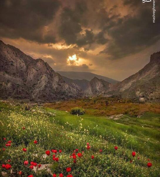 عکس شهر گچساران